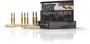 Amunicja Nosler kal. .308 Win 165g